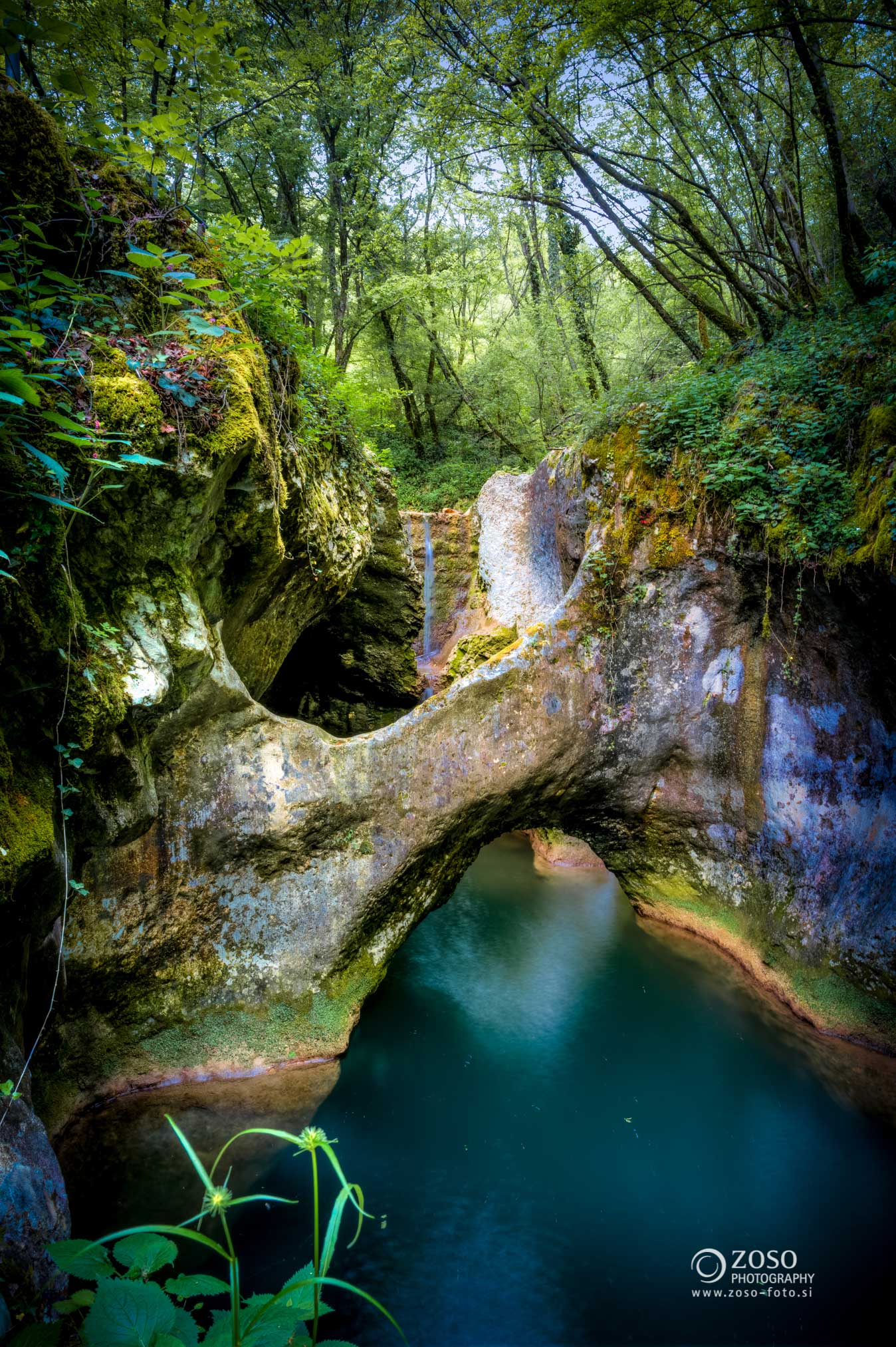 Krčnik